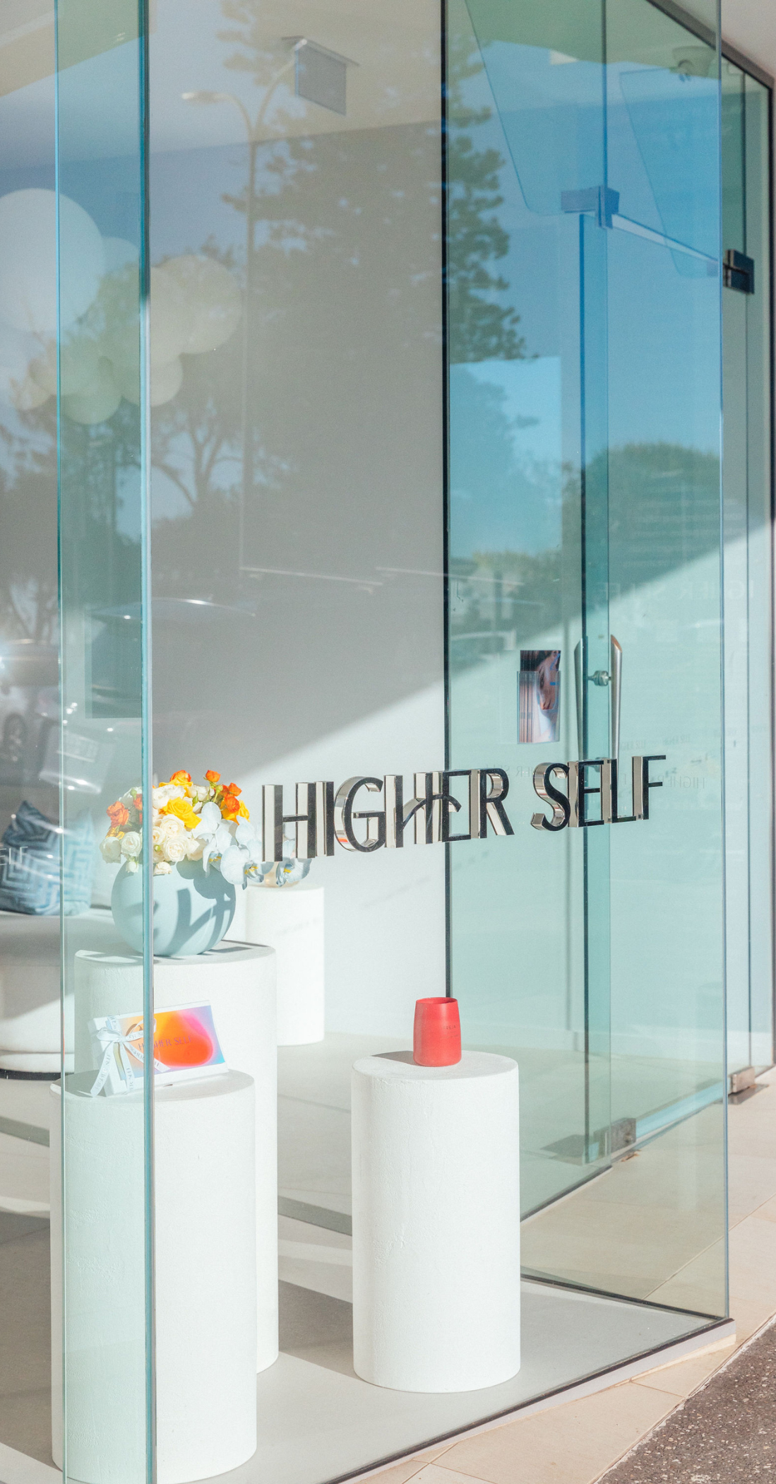 Higher Self Skin interior 1