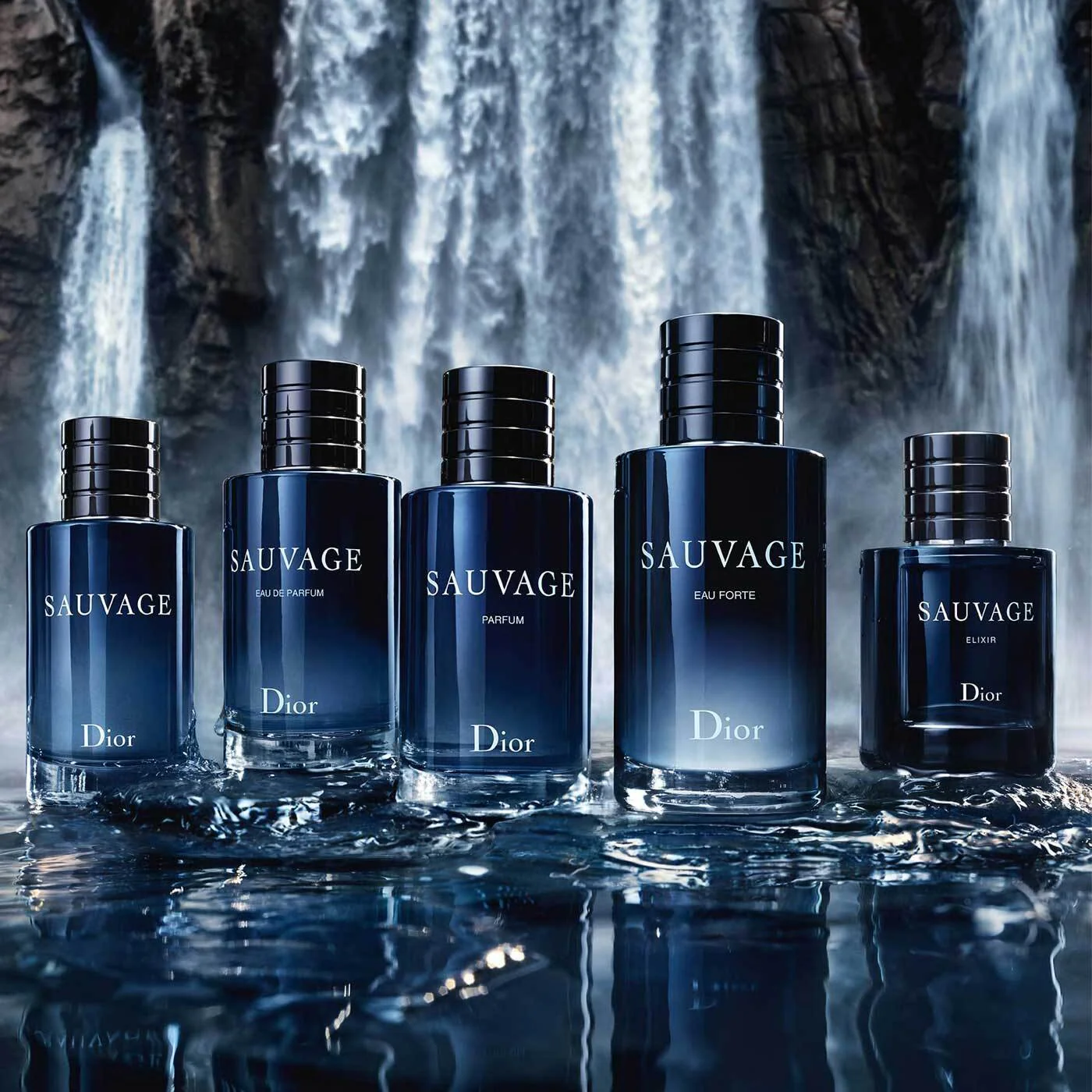 Dior Sauvage Eau de Parfum